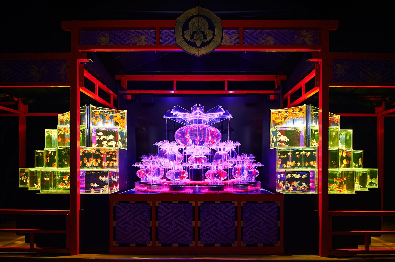 京都で観る金魚の舞、史上最大規模「アートアクアリウム城」 艶やかな舞との雅な融合も