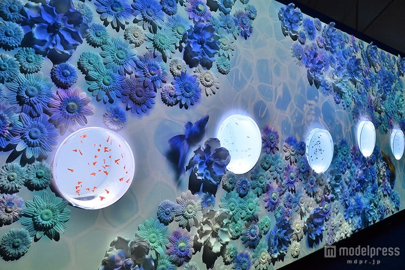 「DREAM AQUARIUM」