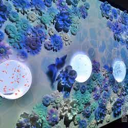 「DREAM AQUARIUM」