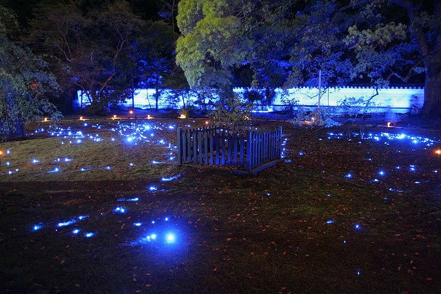 青い光が幻想的な青蓮院門跡／Shorenin Lightup at Kyoto.
by skyseeker