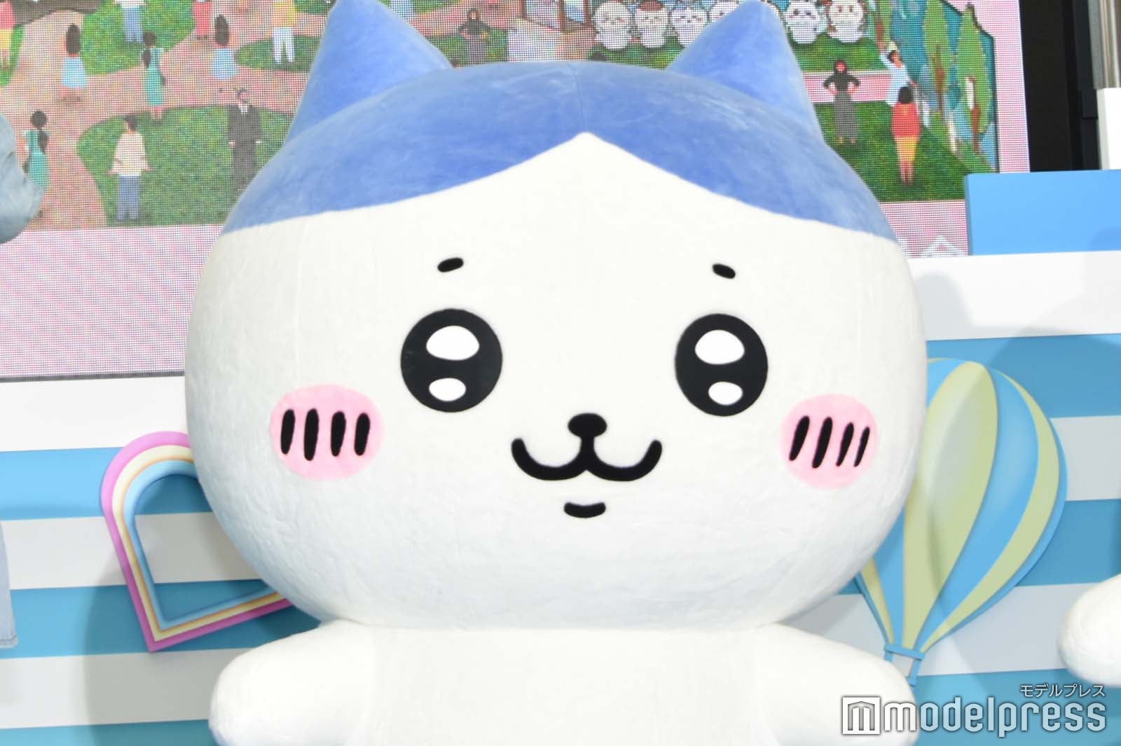 ハチワレ（C）モデルプレス