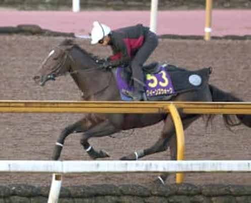 【天皇賞】クイーンズウォーク再調整 前走はアクシデントで競走除外 福永助手「落ち着いてレースに臨めるか」