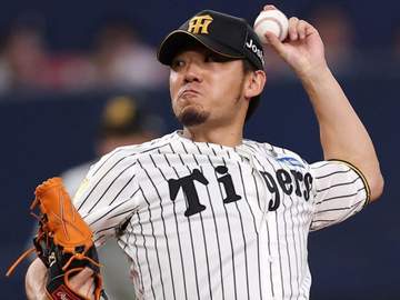 阪神 伊藤将が左大腿部の筋損傷 別メニュー調整へ 2軍合流後に発症