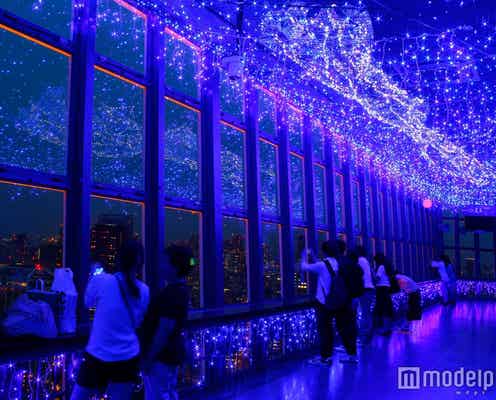 東京タワーに“天の川イルミ”が輝く LED16万個の幻想的な七夕空間にため息