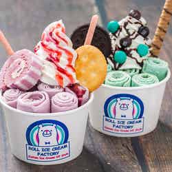 流行りのチョコミント味も!最長5時間待ちのロールアイス専門店に季節の新メニュー&フレーバー/画像提供:ROLL ICE CREAM FACTORY