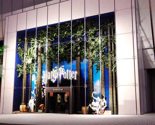 ハリー・ポッター公式店が原宿に誕生 “禁じられた森”着想の空間でショッピング体験
