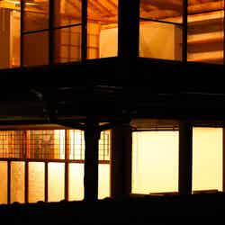 足るを知る木洩れ日る/画像提供:studioKANRO