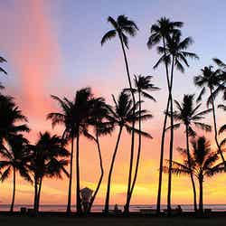 女子が絶対喜ぶ、おすすめハワイ土産3選