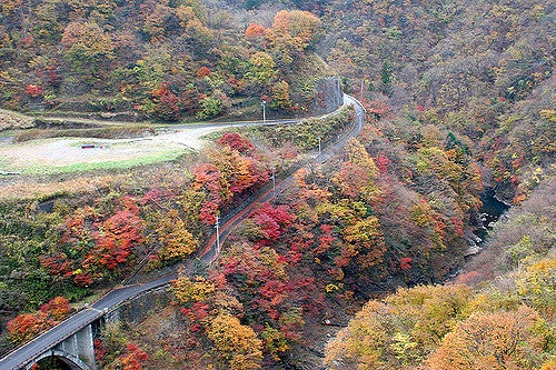 Okutama Autumn Leaves - 01 by Kabacchi