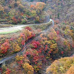 Okutama Autumn Leaves - 01 by Kabacchi