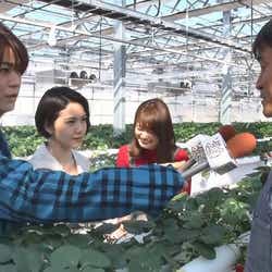 モデルプレス - 二階堂ふみ&亀梨和也はいちごの食リポ フジテレビ新ドラマ出演者がリポーターに挑戦