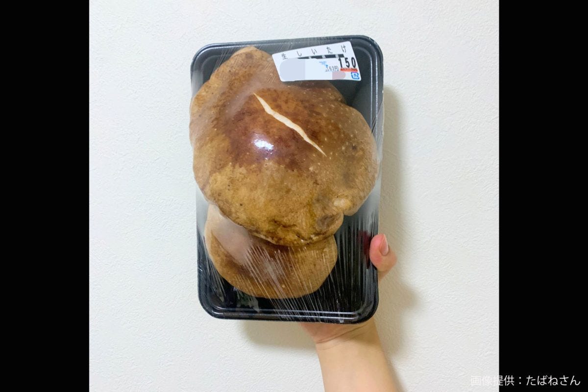 巨大しいたけ