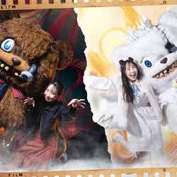 死んでも写るのdeath! ハミクマ・グリーティング・フォト/画像提供:ユニバーサル・スタジオ・ジャパン