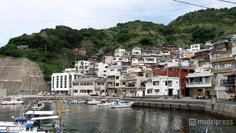 大分県・保戸島（画像提供：テレビ東京）