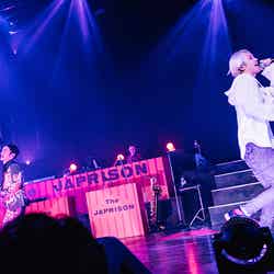 SKY-HI「“SKY-HI TOUR 2019 -The JAPRISON-”」ファイナル公演より（提供写真）