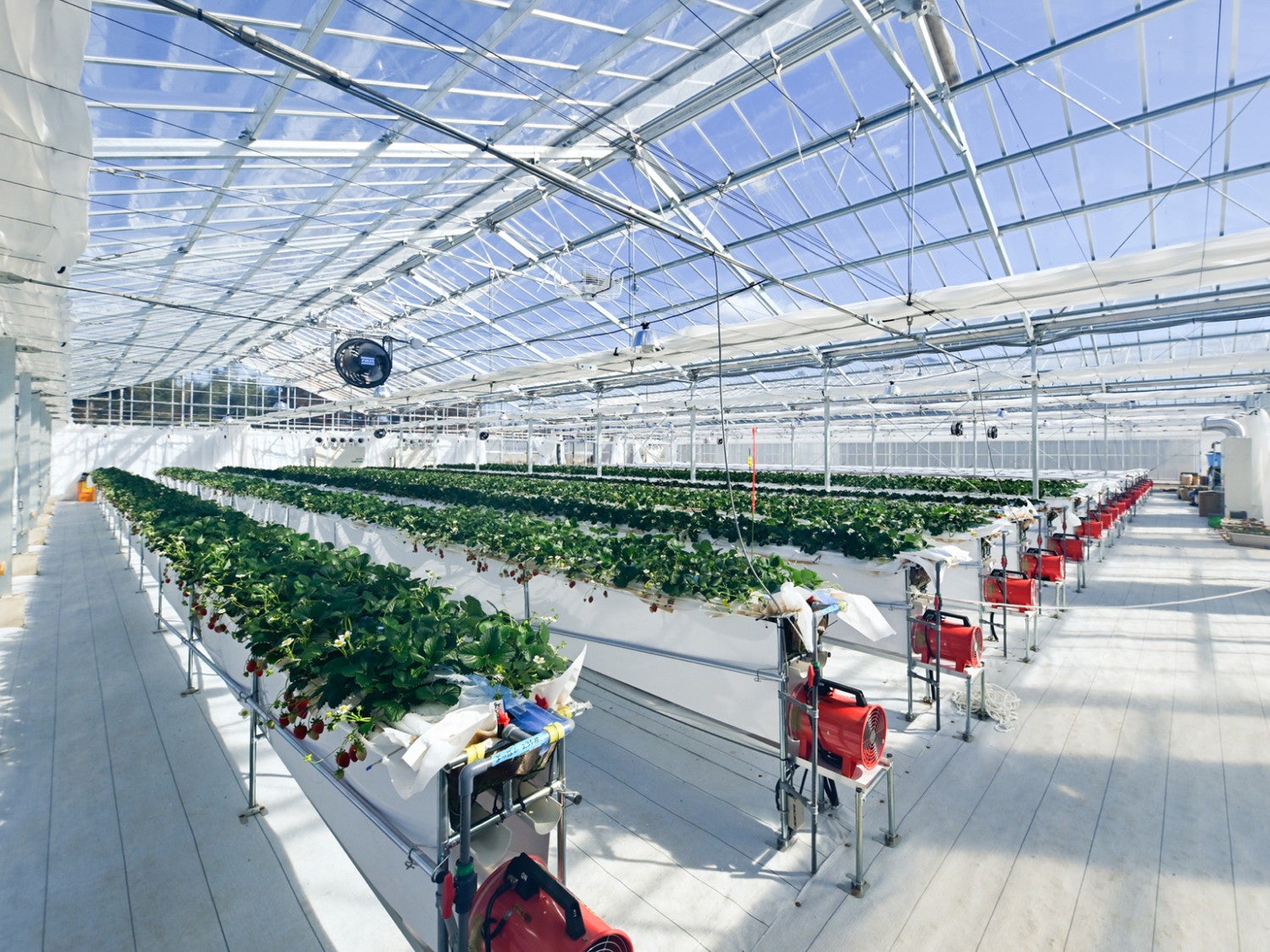 THE FARM スロウマウンテン成田／提供画像