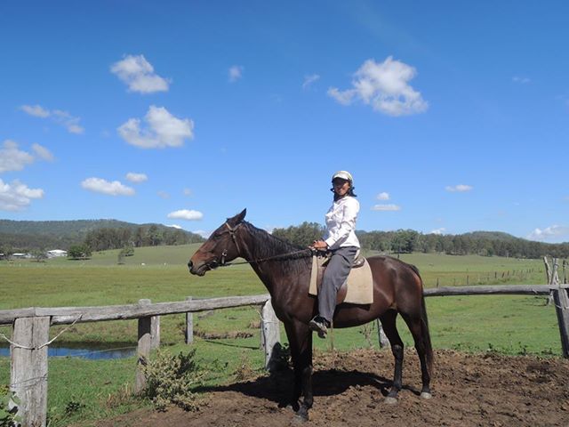 牧場ならではのアクティビティが種類豊富に揃う「ガムナッツファーム」（参加者撮影）