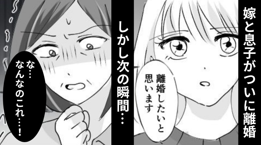 嫁をイビり続けた結果…ついに離婚！？しかし次の瞬間「な…なんなのこれ…！」⇒“義母の方が”絶望した【ワケ】