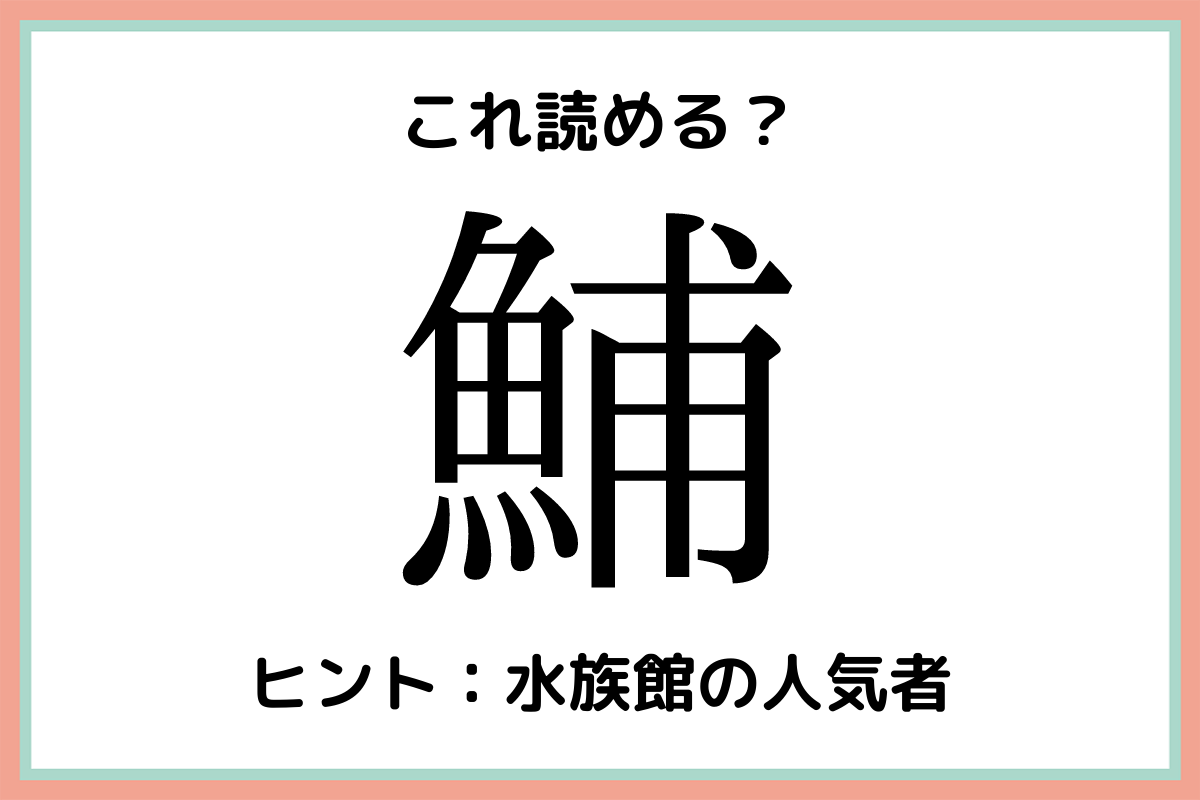 鯆 って何だっけ 読めそうで読めない難読 魚偏 漢字 モデルプレス