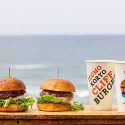 ハンバーガー900円、ドしまね和牛ハンバーガー1,300円、ドチーズバーガー1,000円等/提供画像