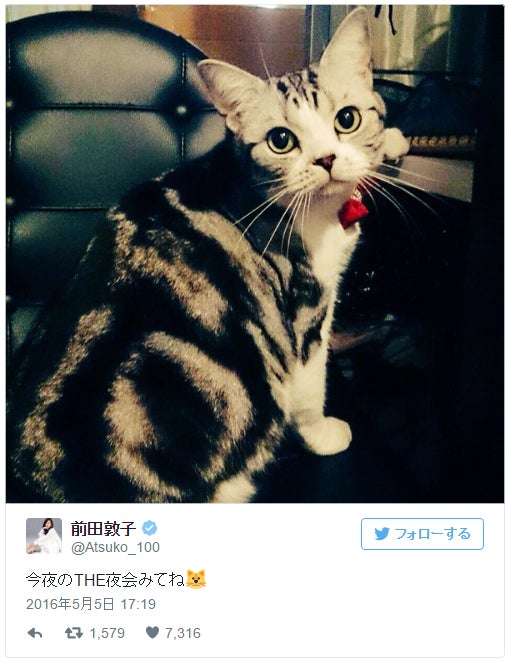 前田敦子が大興奮 愛猫 ポッツちゃん が人気猫雑誌の表紙に決定 モデルプレス