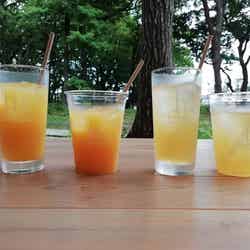 ソフトドリンク(オレンジ・アップル)(提供画像)