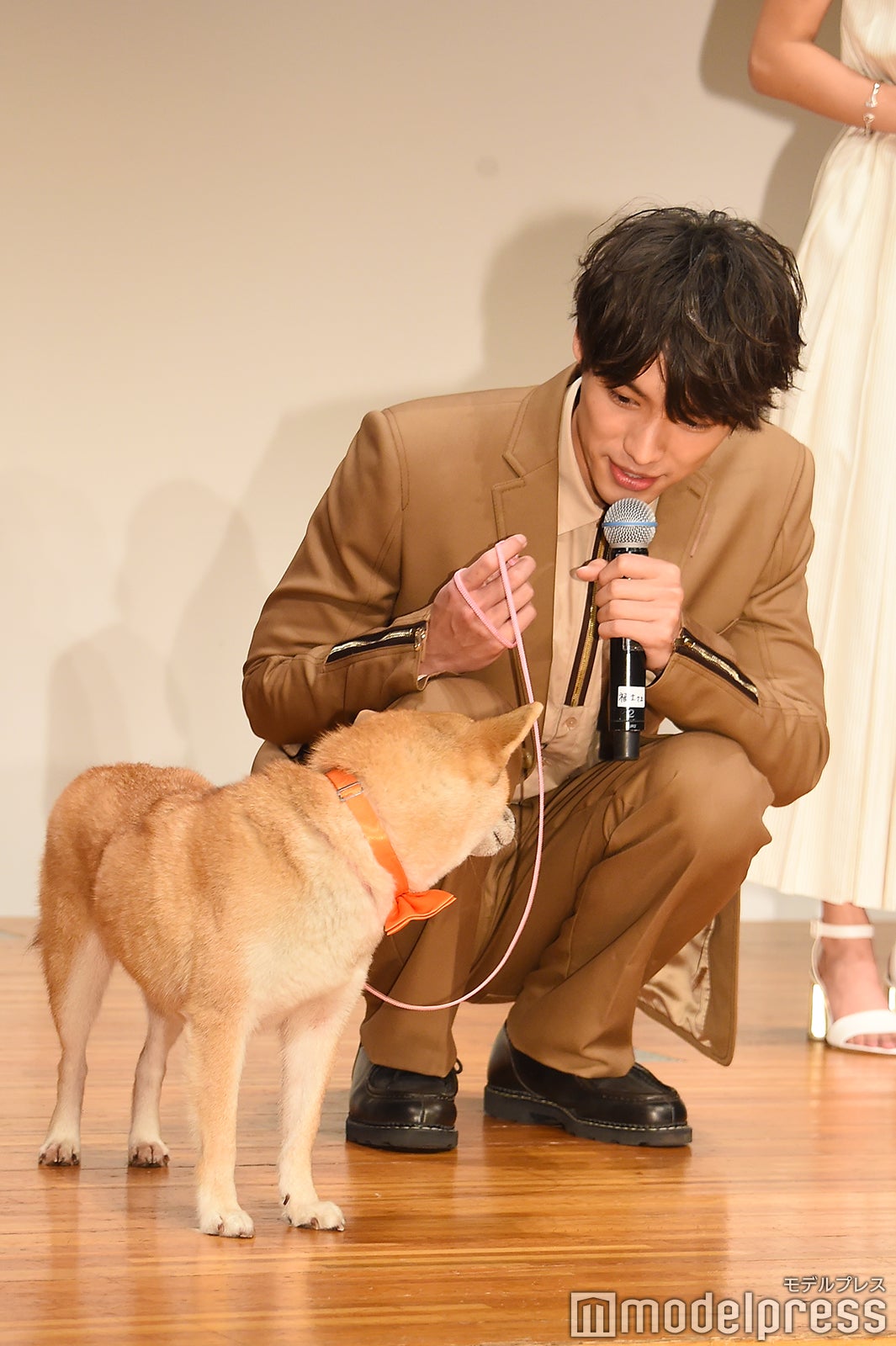 シロと戯れる福士蒼汰 （C）モデルプレス