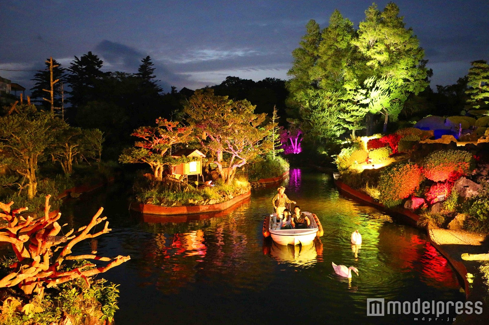 ナイト「アニマルボートツアーズ」／画像提供：伊豆シャボテン公園