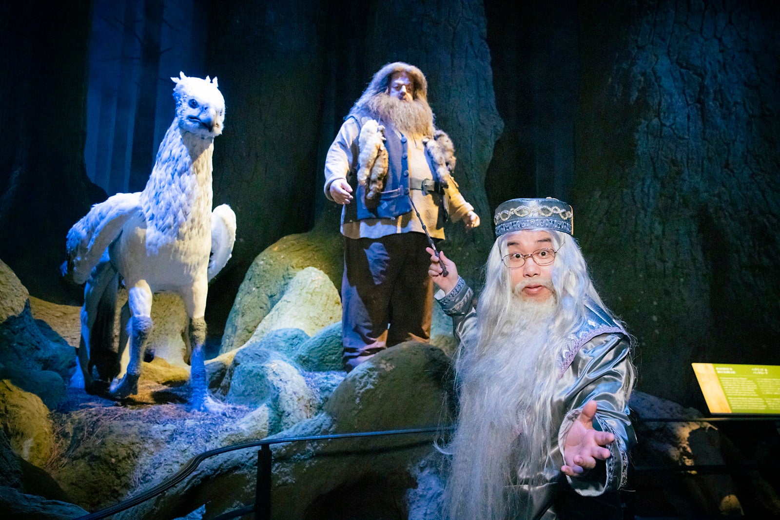 霜降り明星せいや／提供画像