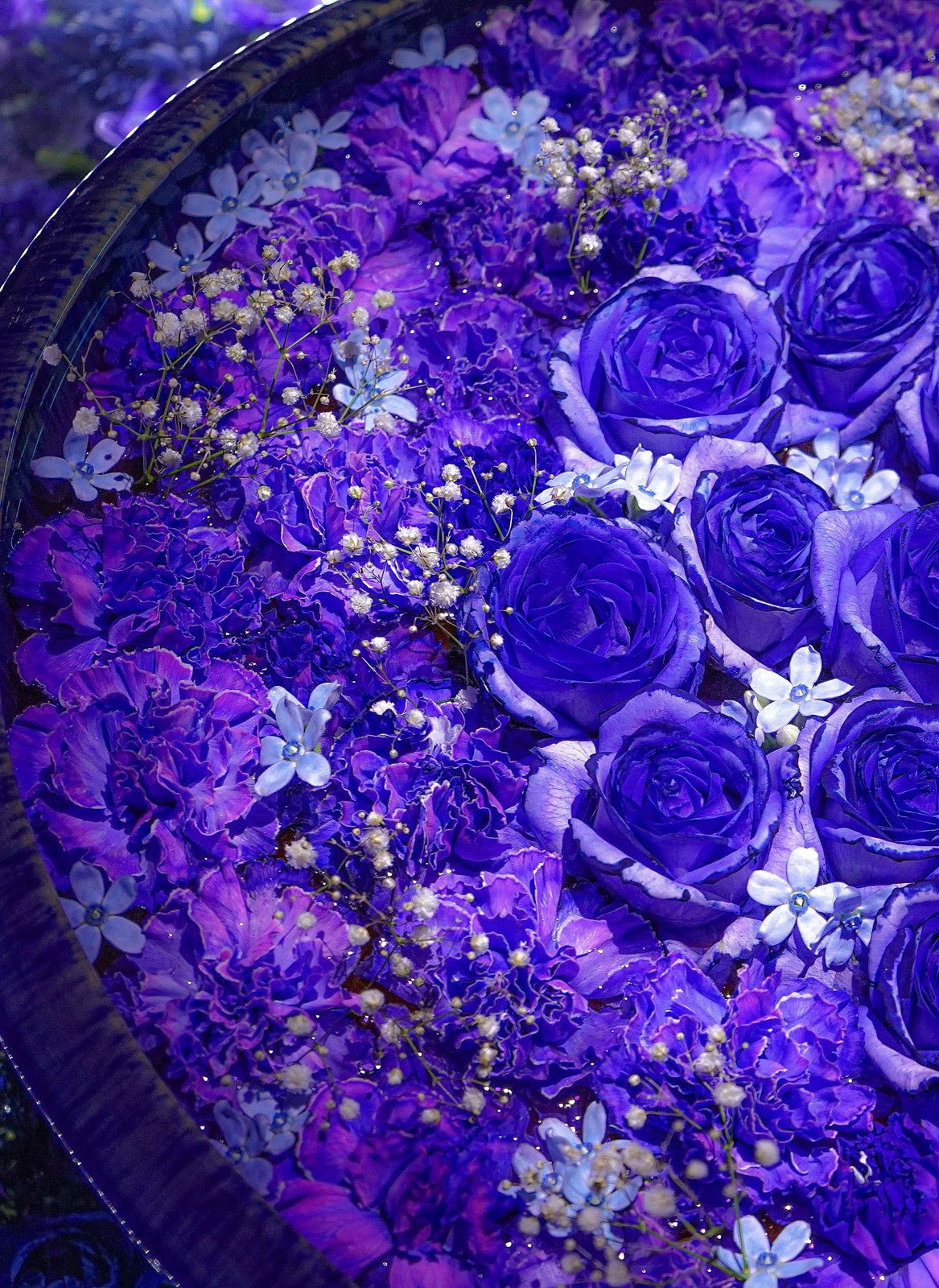 光の花の庭～Flower Fantasy（提供写真）