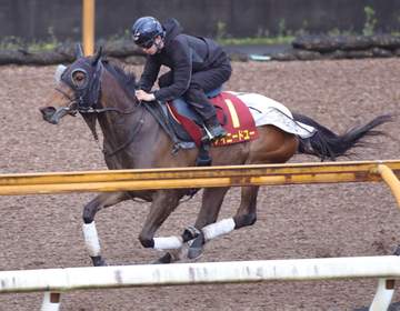【桜花賞】アイニードユー しっかりと負荷 吉村師「時計も動きも良かった」 川田と再タッグに期待 