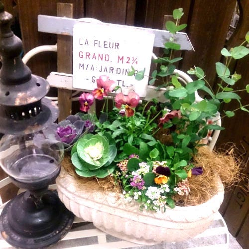 初心者も な秋の寄せ植え特集 今の季節に人気の植物で玄関やベランダを素敵に モデルプレス 初心者も な秋の寄せ植え特集 今の季節に人気の植物で玄関やベランダを素敵に モデルプレス