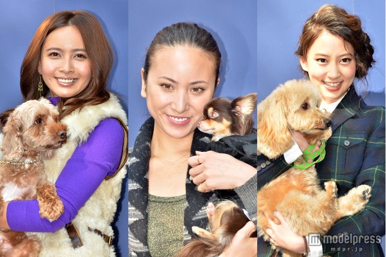 道端アンジェリカ、加藤夏希、河北麻友子らが愛犬を連れて登場