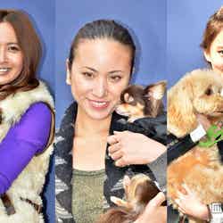 ラルフローレン主催、ペットのためのチャリティイベント“THE DOG WALK”に登場した加藤夏希、道端アンジェリカ、河北麻友子