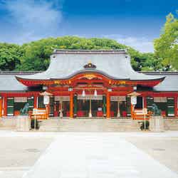 生田神社（提供写真）