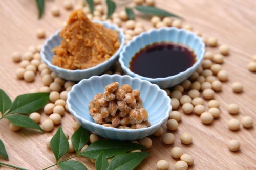 日本の発酵食品たち