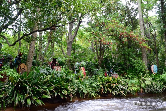 「ジャングルクルーズ:ワイルドライフ・エクスペディション」