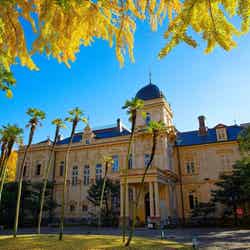 「建築」に詳しい旅のプロが感動した! 秋の行楽に本気で推したい名所3選【2025年最新】