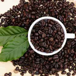 日本1号店にもタイからバリスタを招聘/画像提供:CIN GROUP