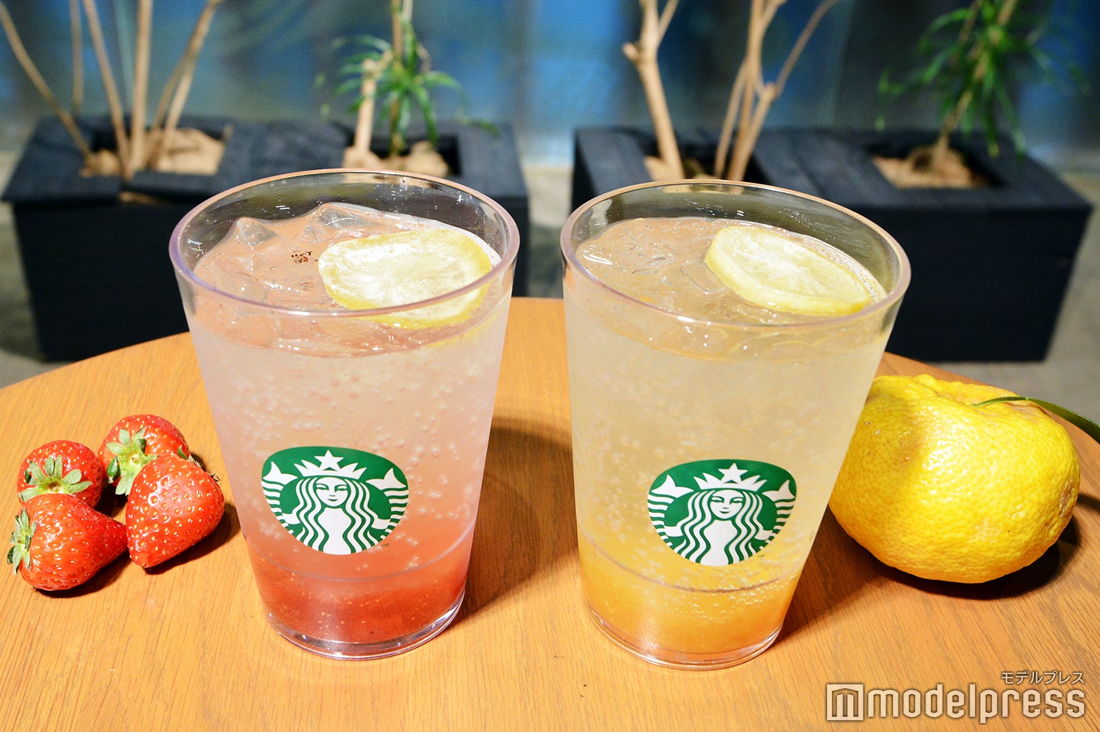 （左から）チラックス ソーダ ストロベリー、チラックス ソーダ ゆずシトラス（C）モデルプレス