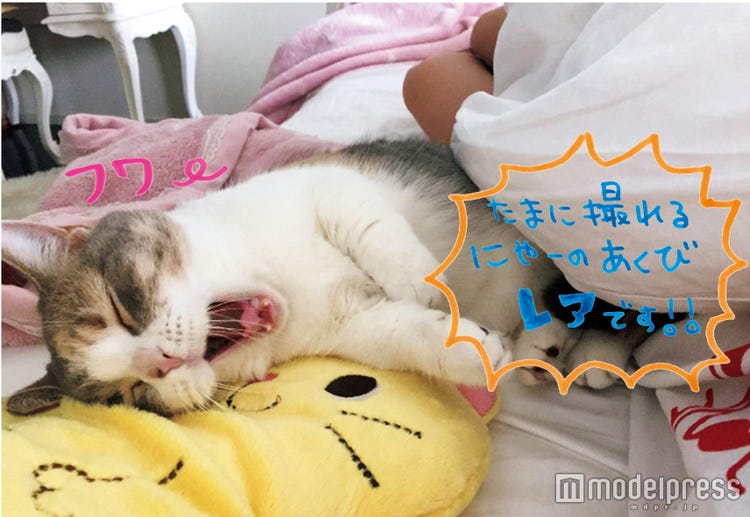 画像6 7 高橋みなみ Akb48の裏側 プライベート一挙公開 青春の集大成 モデルプレス 画像6 7 高橋みなみ Akb48の裏側 プライベート一挙公開 青春の集大成 モデルプレス