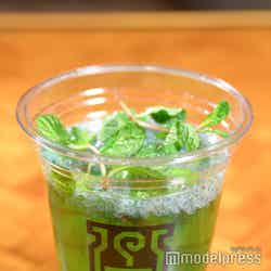 (C)モデルプレス