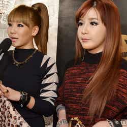 CL、BOM