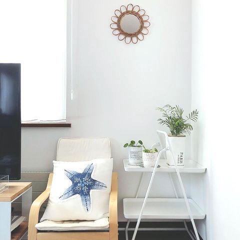 心地よい空間作りにおすすめの観葉植物15選 リビングで育てやすい種類まとめ モデルプレス