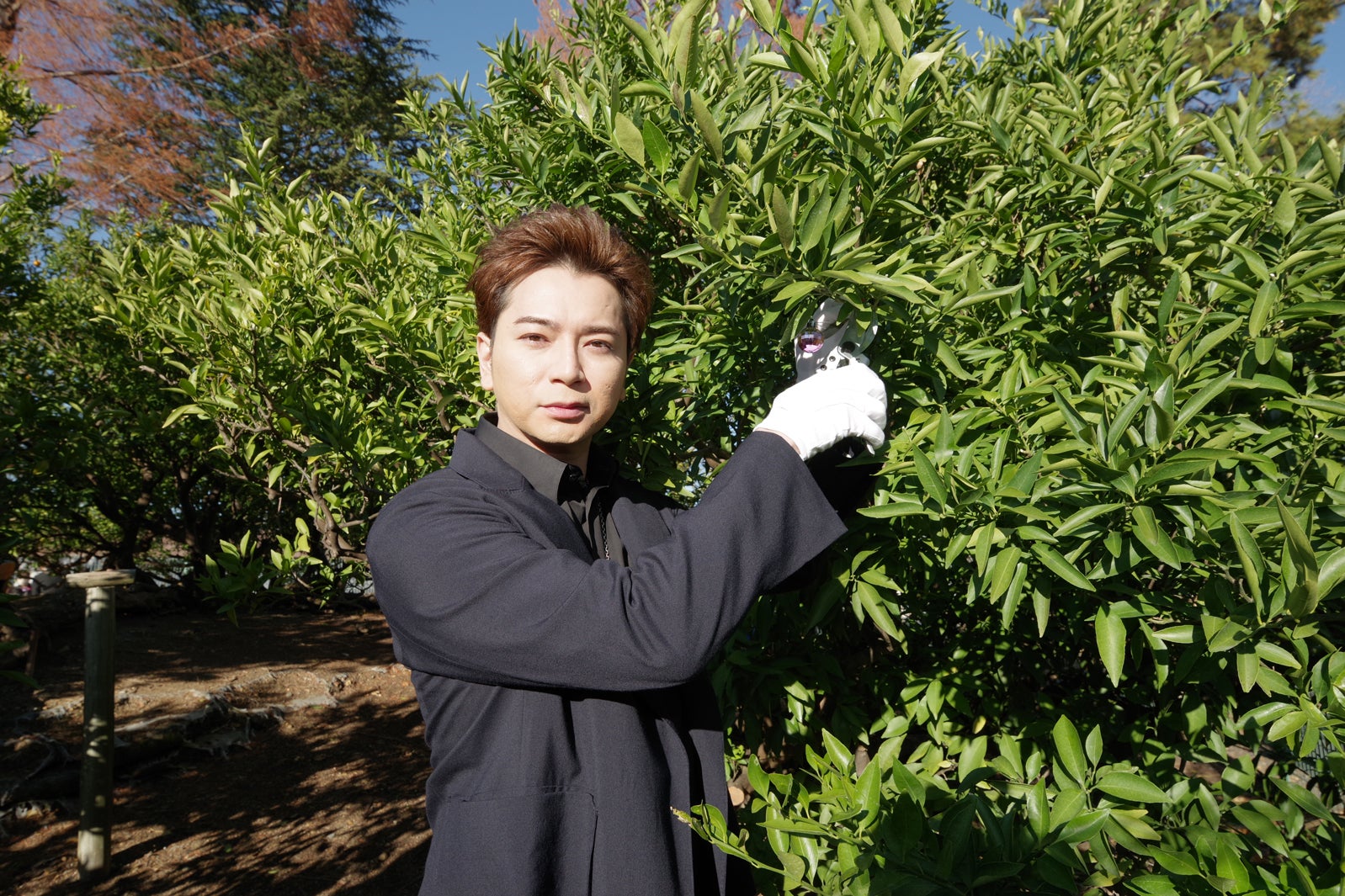 松本潤＆小手伸也「どうする家康」最終話前に「家康公お手植えのミカン」収穫　子どもたちを気遣う場面も