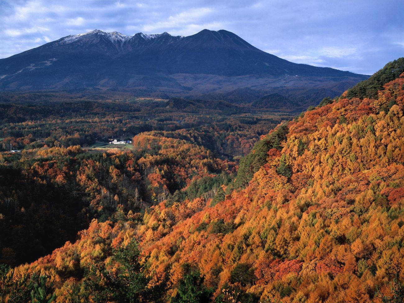 つたや季の宿 風里／画像提供：つたや本店