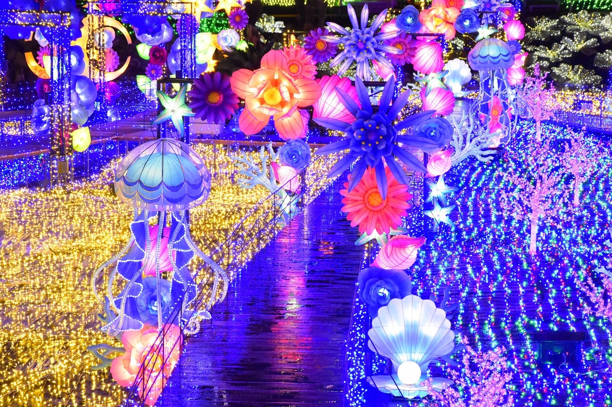 伊豆高原グランイルミ／画像提供：伊豆シャボテン公園