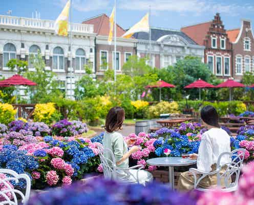 ハウステンボス「あじさい祭」日本最多1,250品種の華麗な花々がヨーロッパの街並み彩る
