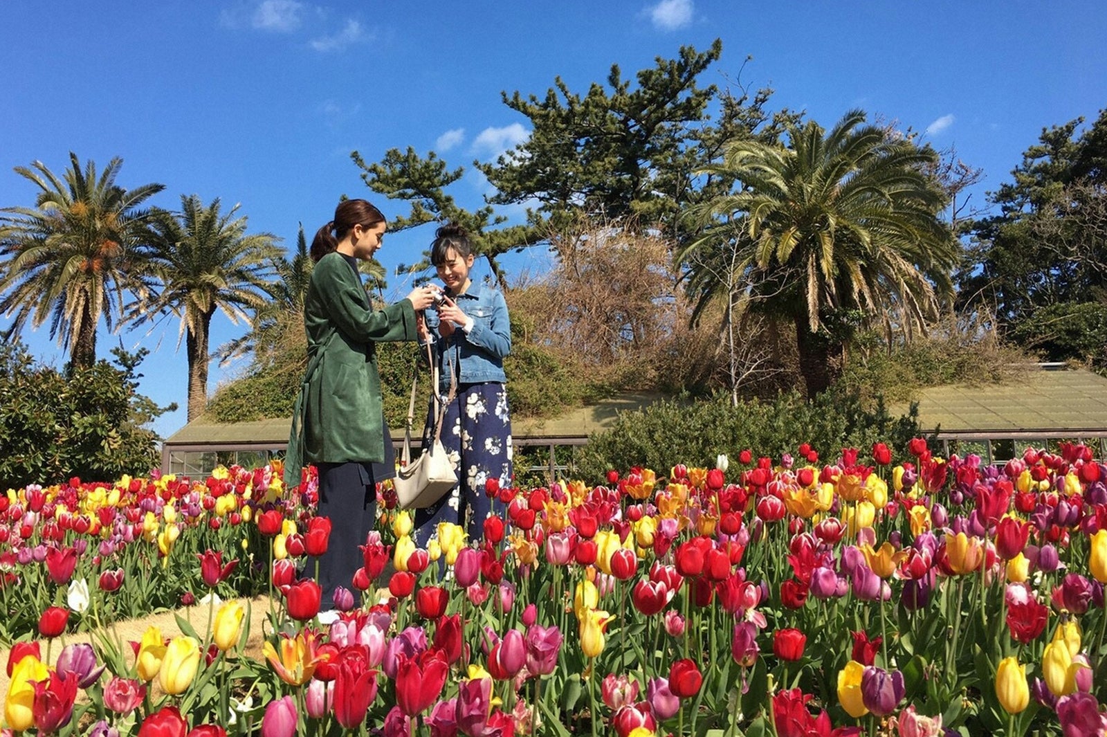 （左から）山崎紘菜、福原遥／画像提供：TBS