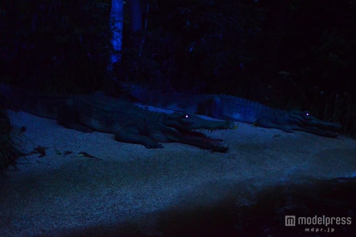 夜になると目が光る/「ジャングルクルーズ:ワイルドライフ・エクスペディション」